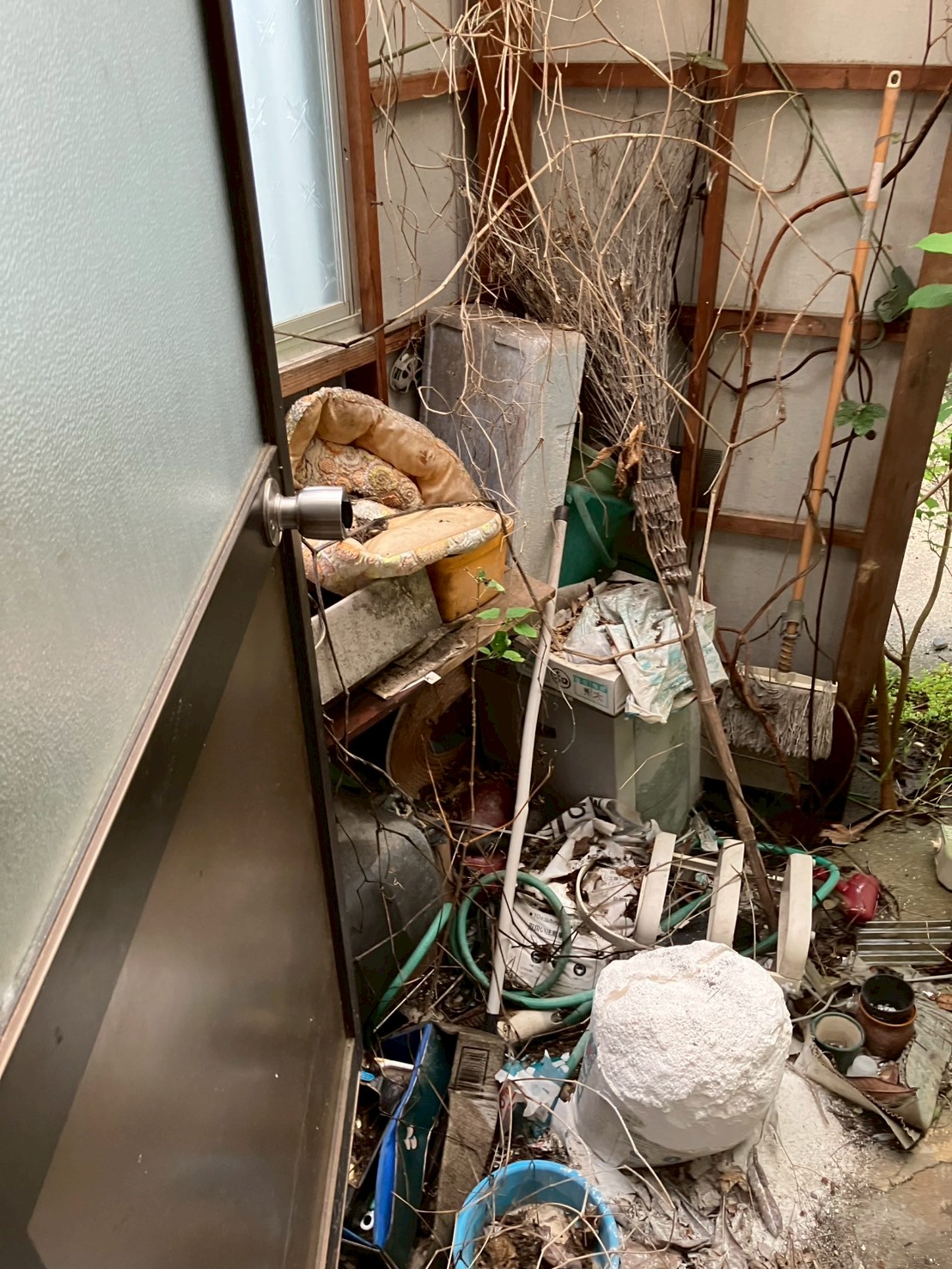 作業前の写真